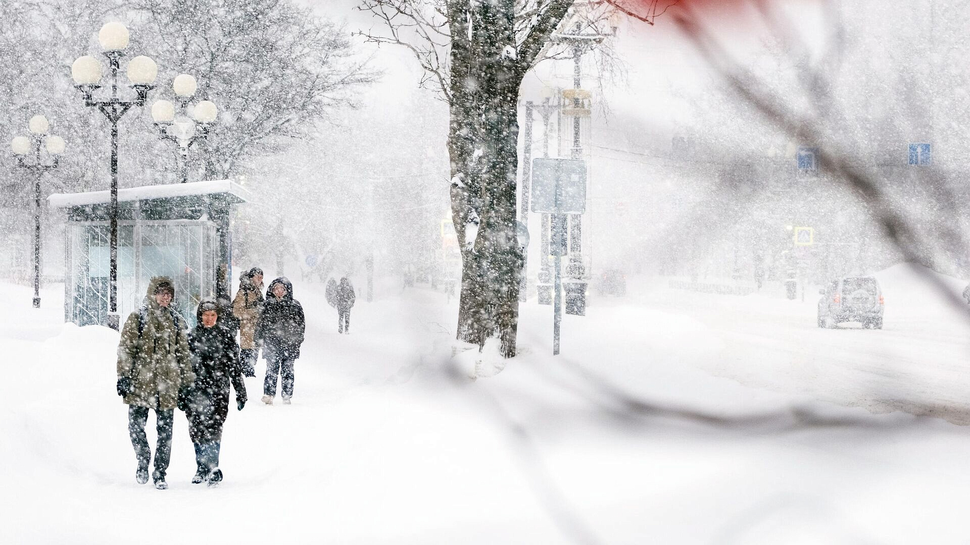 Вильфанд заявил, что с зимой прощаться рано