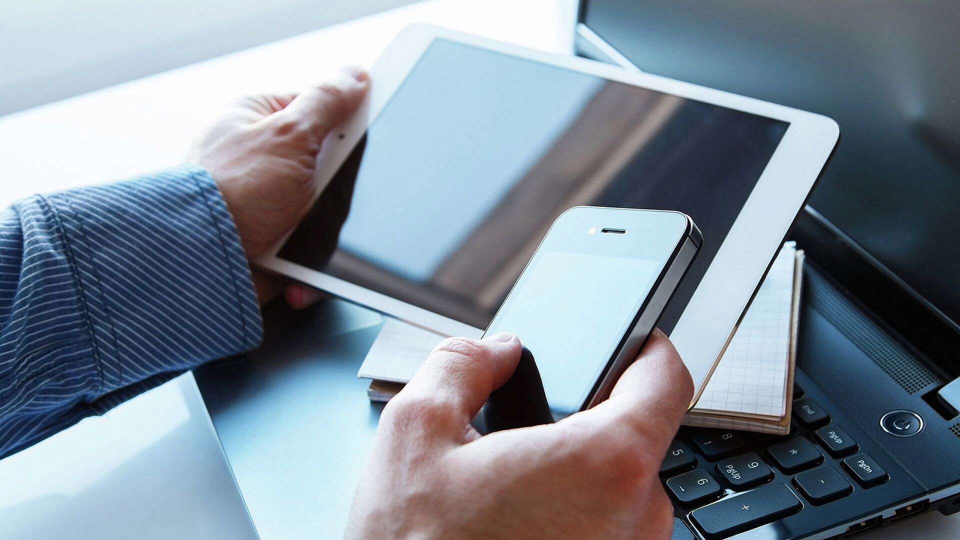 ������ Notion ��������� ������ � ������