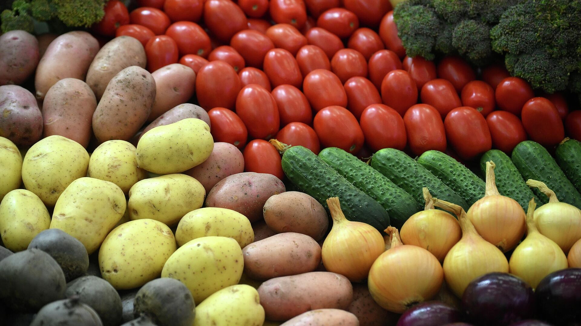 Подсчитано, какое место в мире Россия занимает по производству картошки