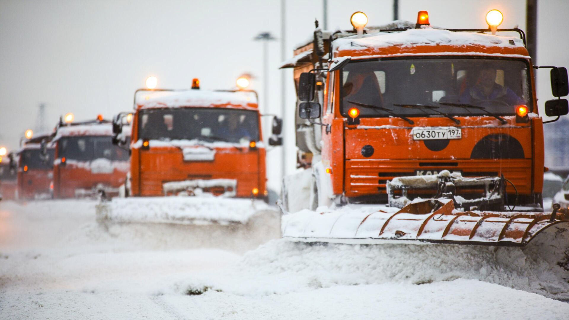 � ������ ����������� ����������� ��������