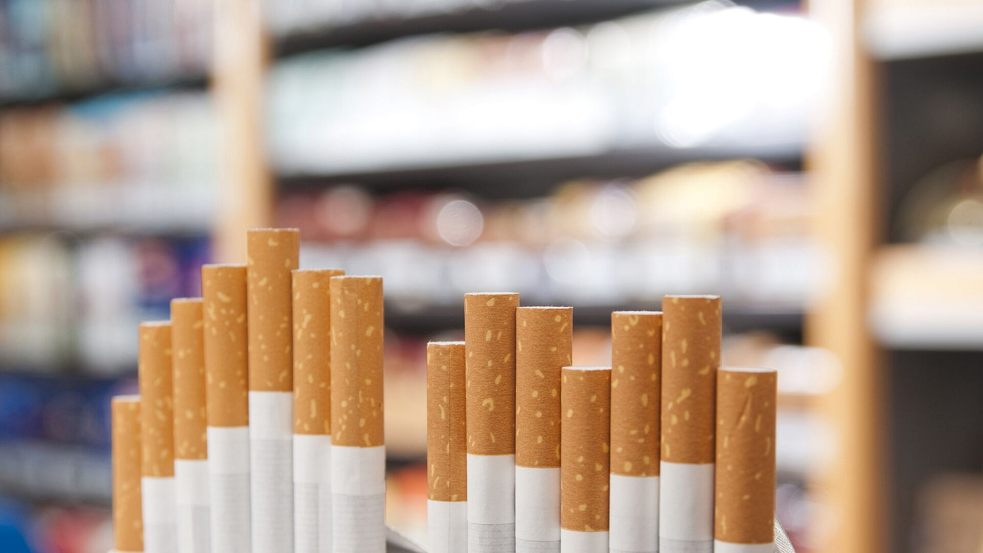 � ���������� ������ 12 ��������� ����� ��������������� �������� ���������