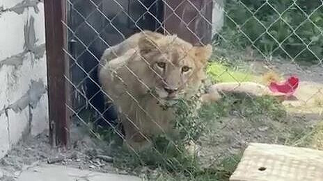 � ��������� � ������� ���� ���������� ���� � ��������