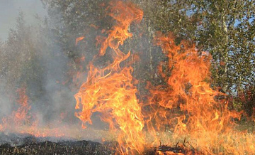 В России за сутки потушили 32 лесных пожара