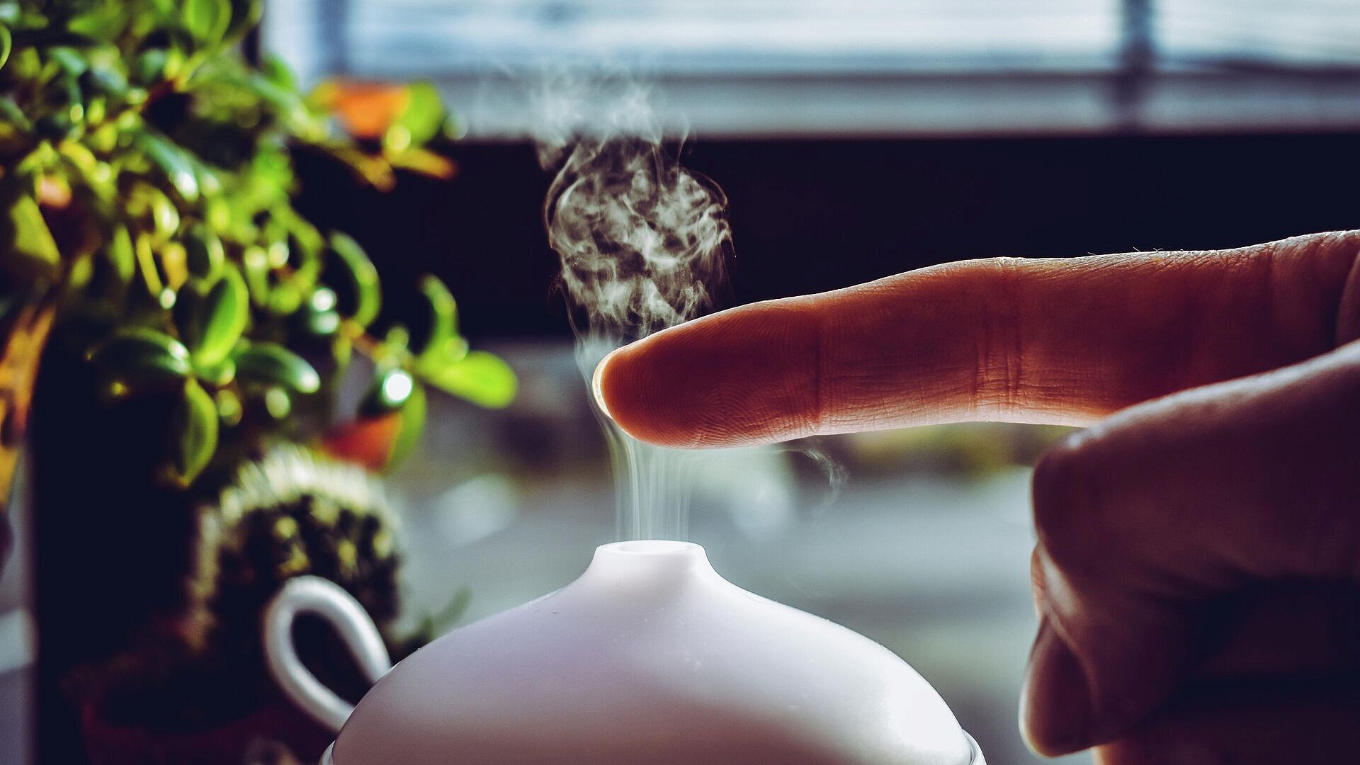 ������� ����������, ��� ������� ����������� �������