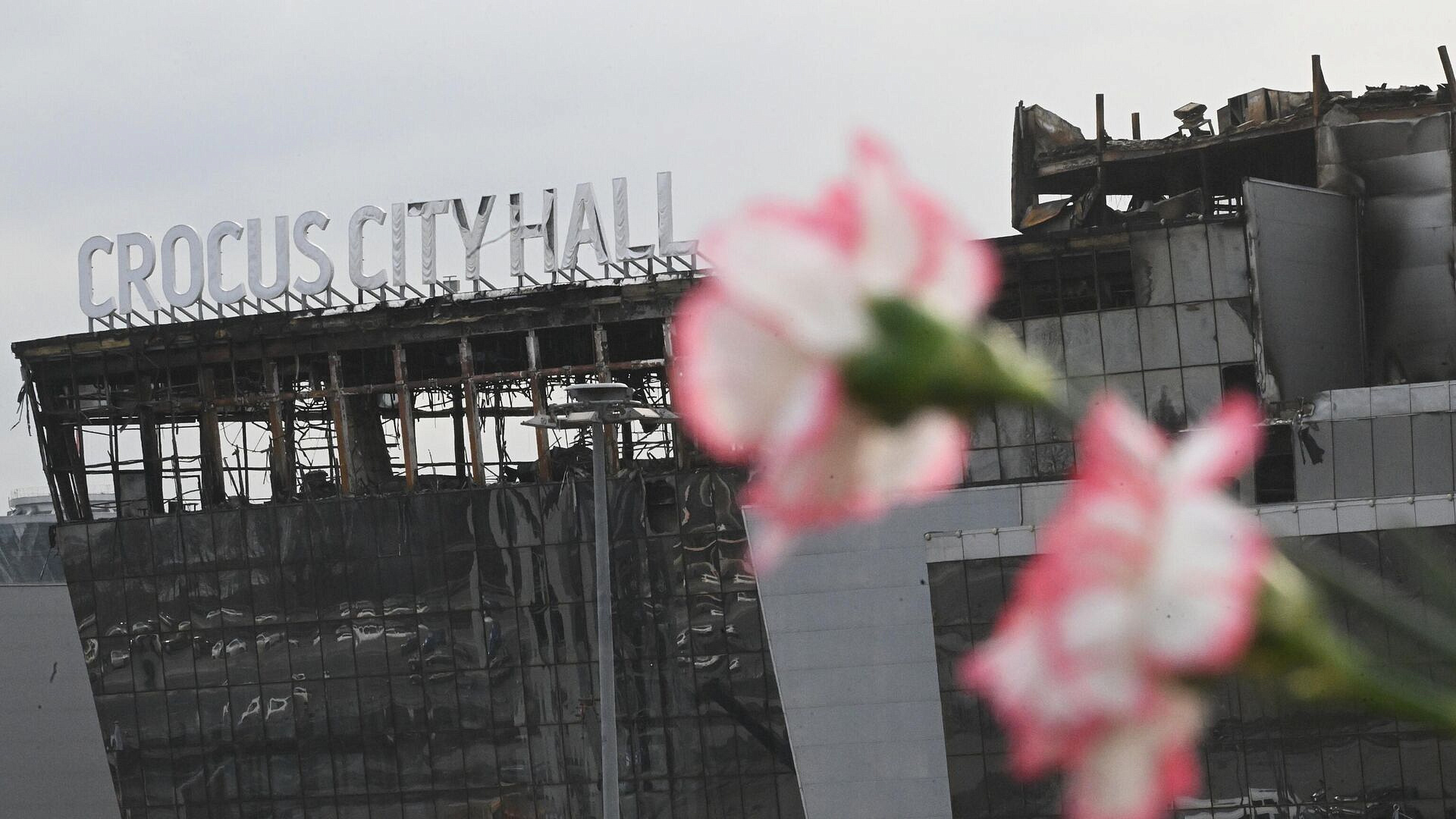 � ������� ��������� ������ "������", ������������� � ���������� �����������