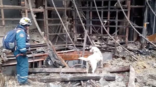 ������ ���������� ���� "�������" �������� �� �������, ������ ��������