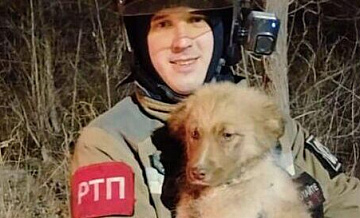 В Приморье пожарные спасли щенка, провалившегося в колодец