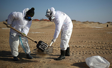 На побережье Черного моря обнаружили новые выбросы мазута