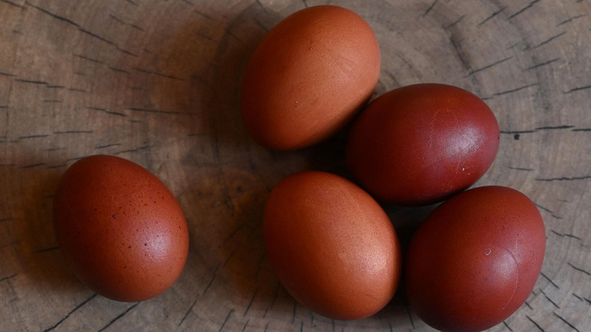 Названы регионы, в которых понедельник после Пасхи будет выходным