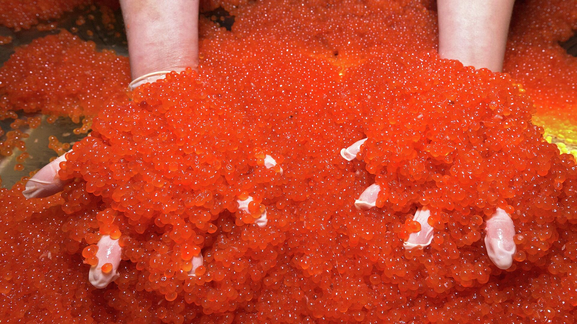 Россиянам рассказали, когда выравняется ситуация с красной икрой