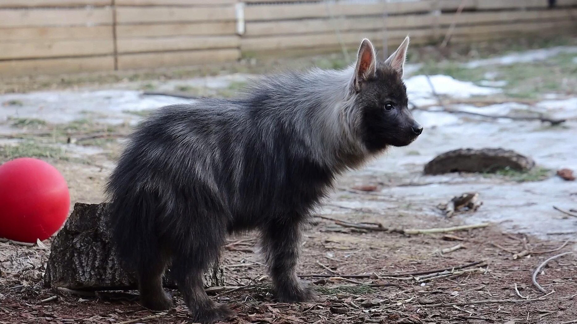 � ���������� �������� �������� ����� ������� � ������� � �����