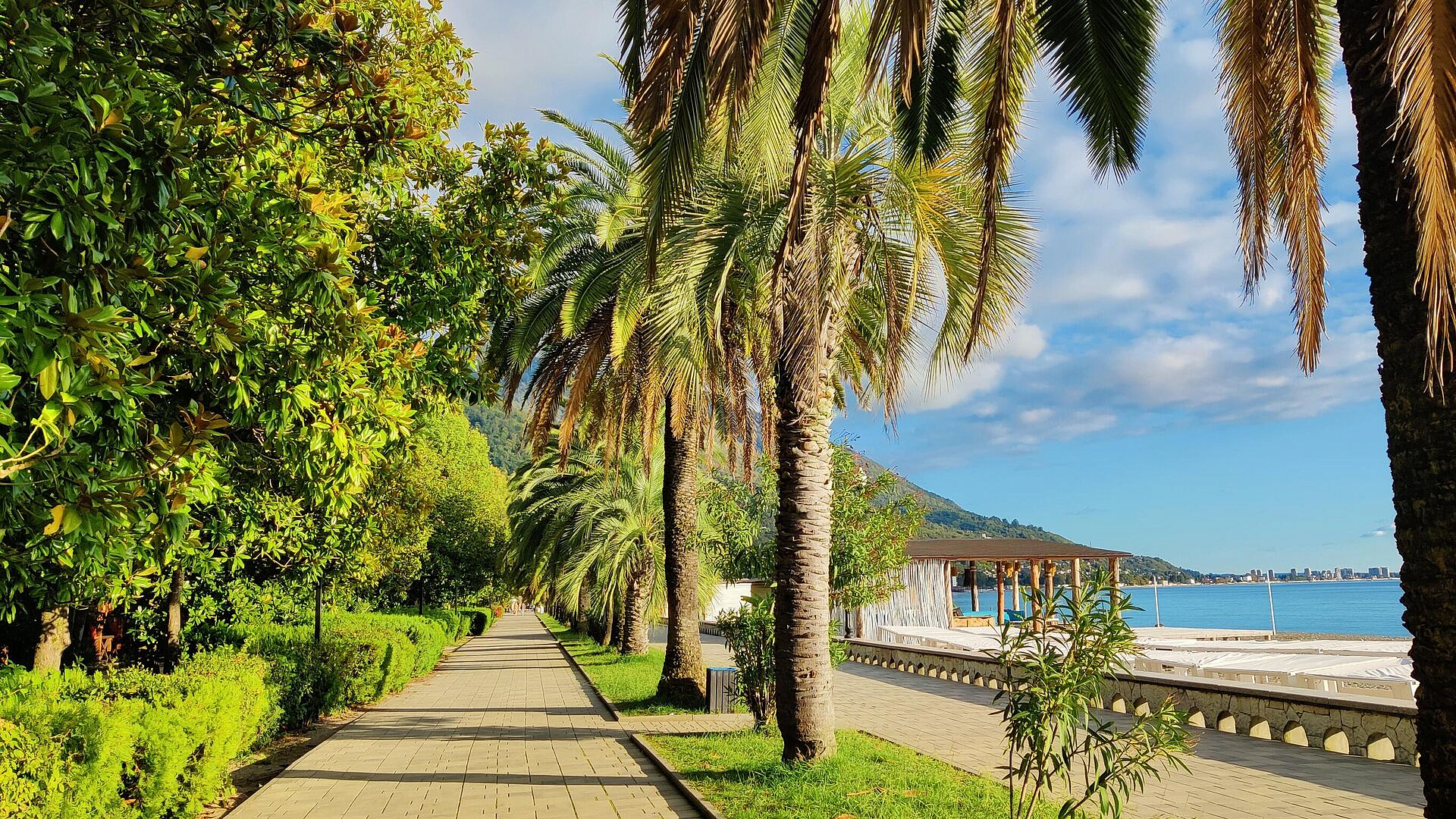 ����� �� ���� � ������� �� ������ ����� �����