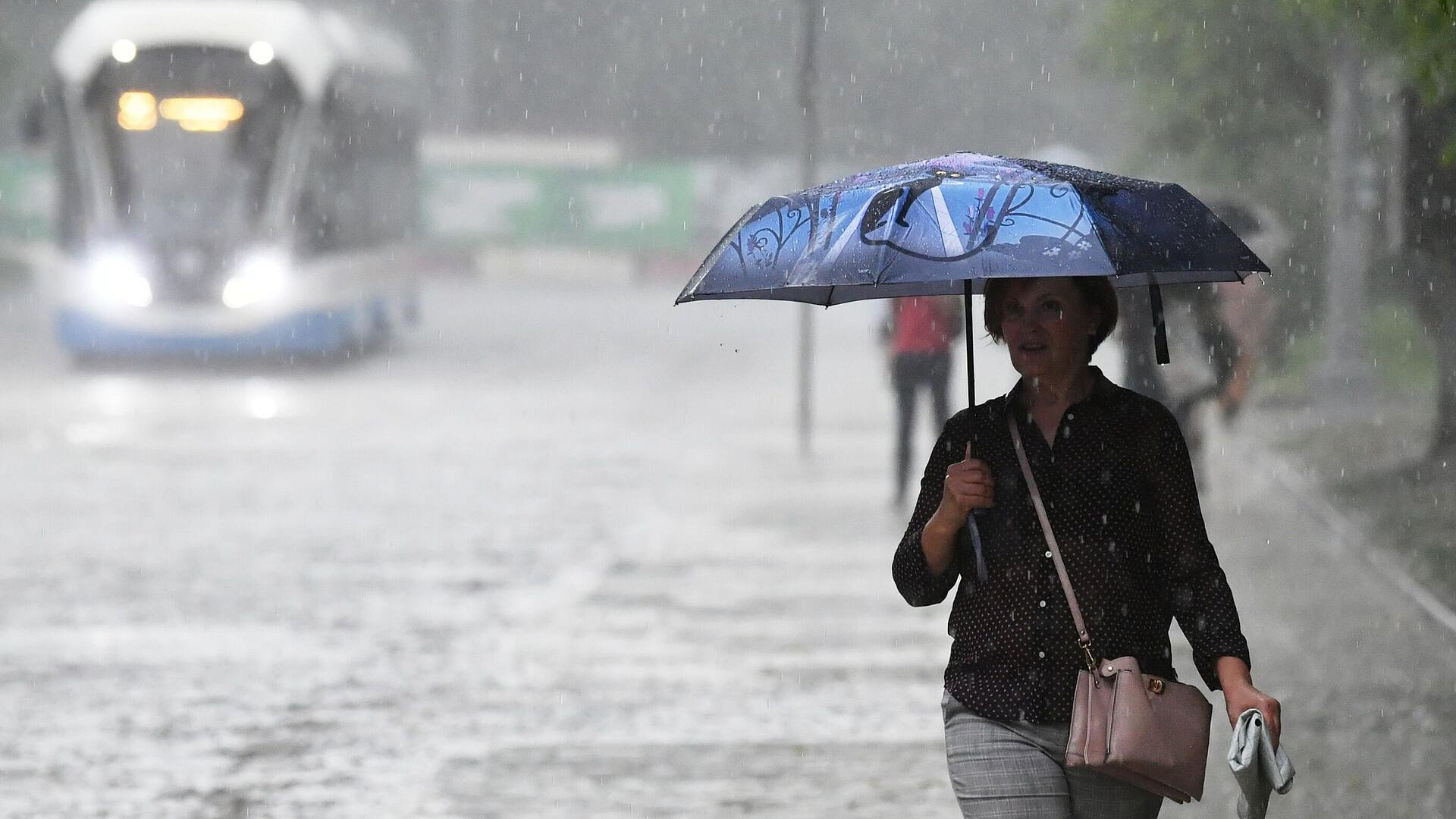 Москвичей предупредили о грозе и дожде