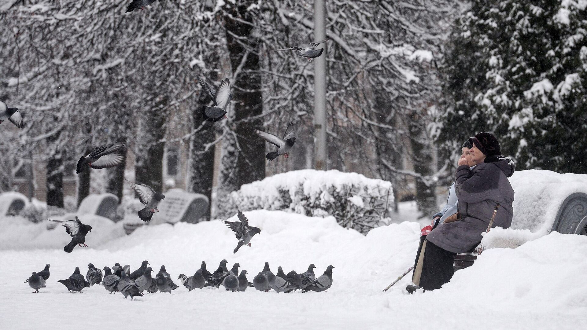 ����������� �������� ������ � ������ ���� � �������� ������ � ���������� ��