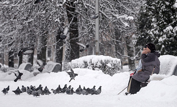 Прокуратура проверит данные о гибели птиц в защитных сетках в московском ТЦ