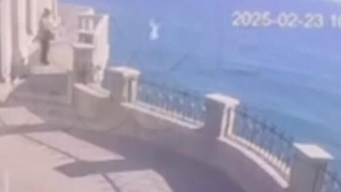 В Джанкое задержали мужчину, сбросившего кошку со смотровой площадки