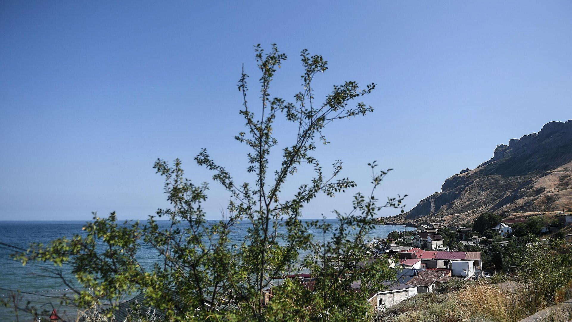 � ���� ���� � ����� �������� ������� � ������ �� ��� 