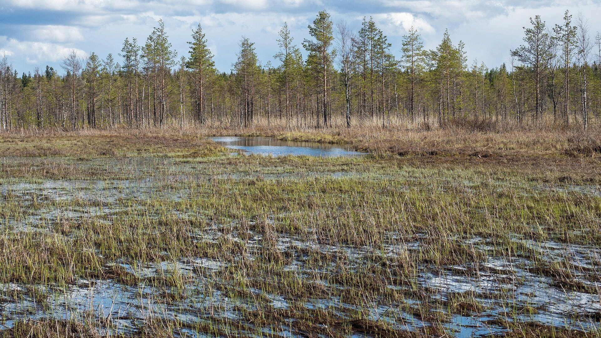 � ������ ����� ������ �������� ������