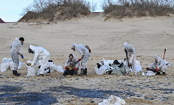 Глава Росмолодежи осудил чиновника за крик на убирающих мазут волонтеров