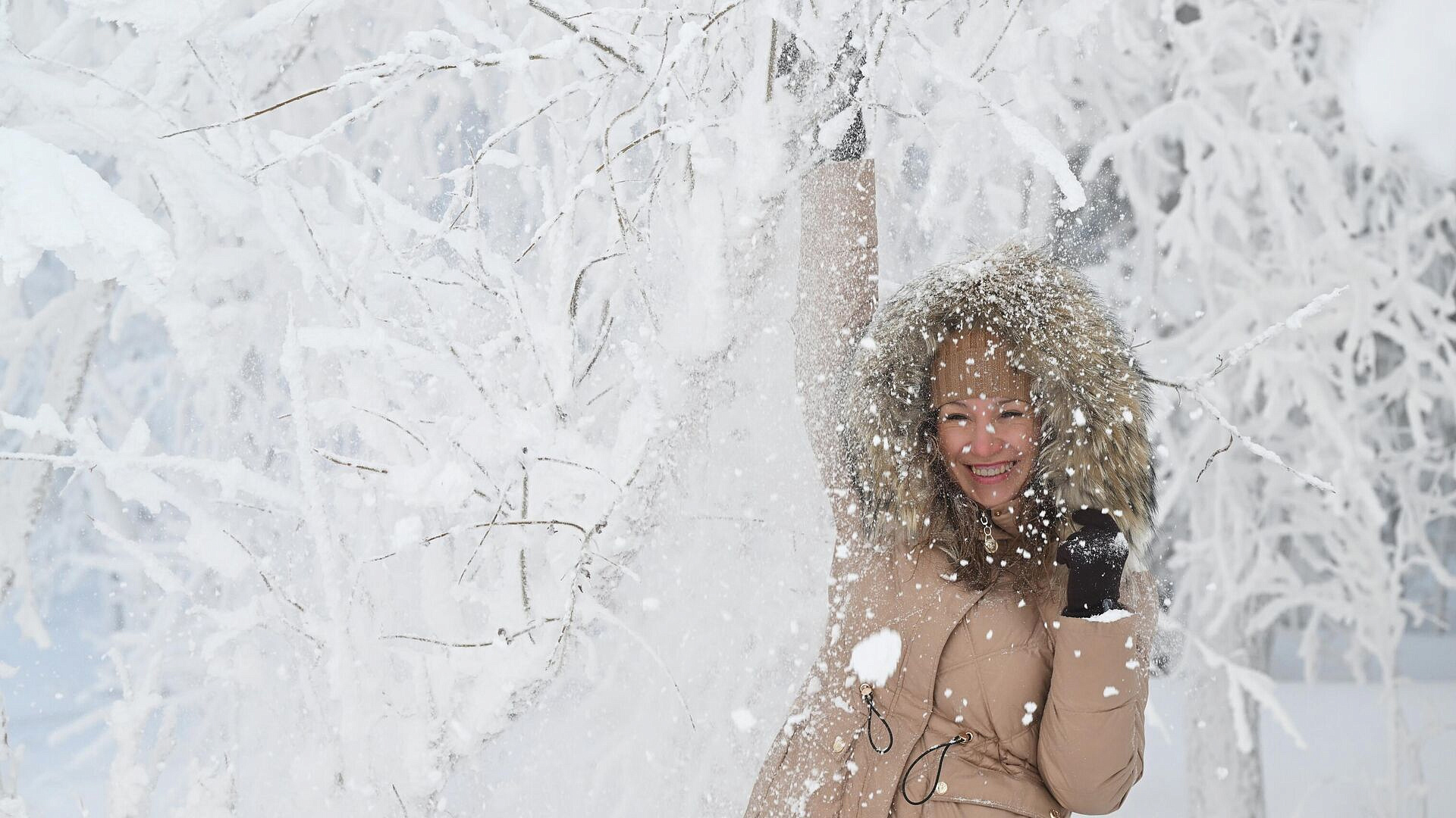 Ученый назвал регионы, в которых ожидаются аномальные морозы