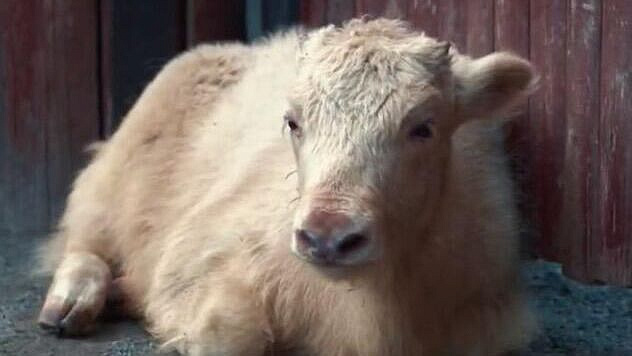 ������� ��������� ��� � ���������� �������� ����� ������ ���