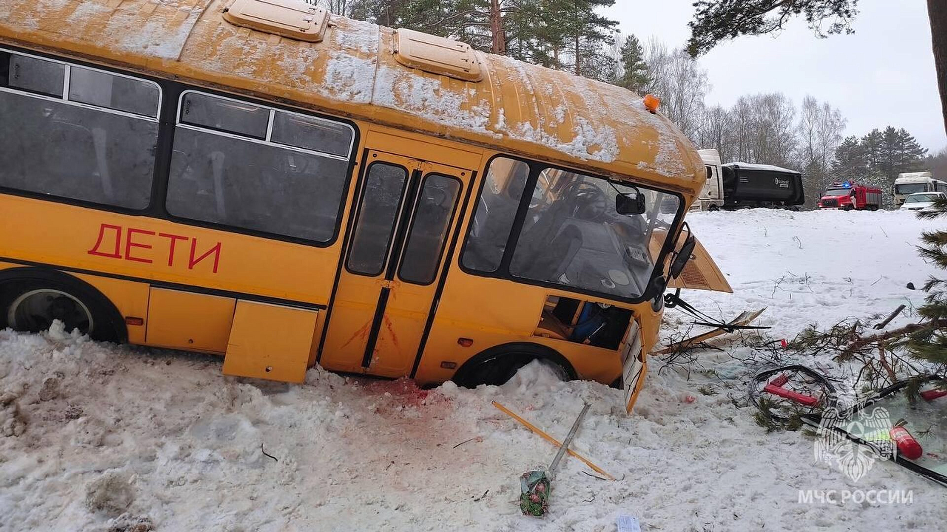 Водителя грузовика арестовали после ДТП с автобусом с детьми под Псковом