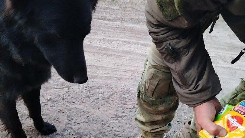 �������� ��������� �������� ������ ��� ���� ��� �� ��������