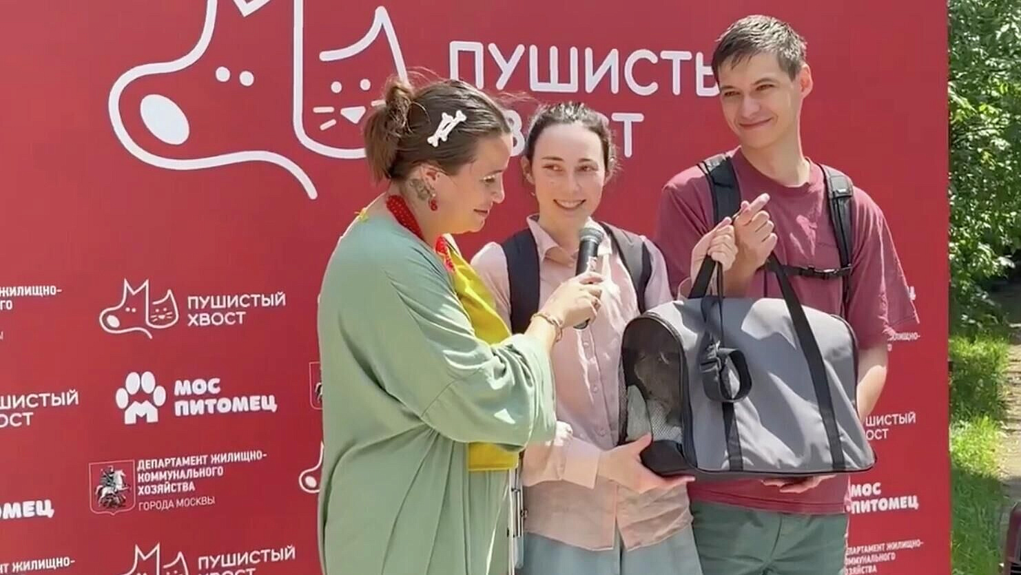 В Москве 12 животных нашли новый дом благодаря выставке "Пушистый хвост"