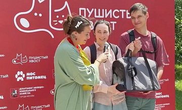 В Москве 12 животных нашли новый дом благодаря выставке "Пушистый хвост"