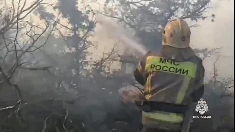 �� ������� ������ �� ������ ����������� ������������� ����������� ���