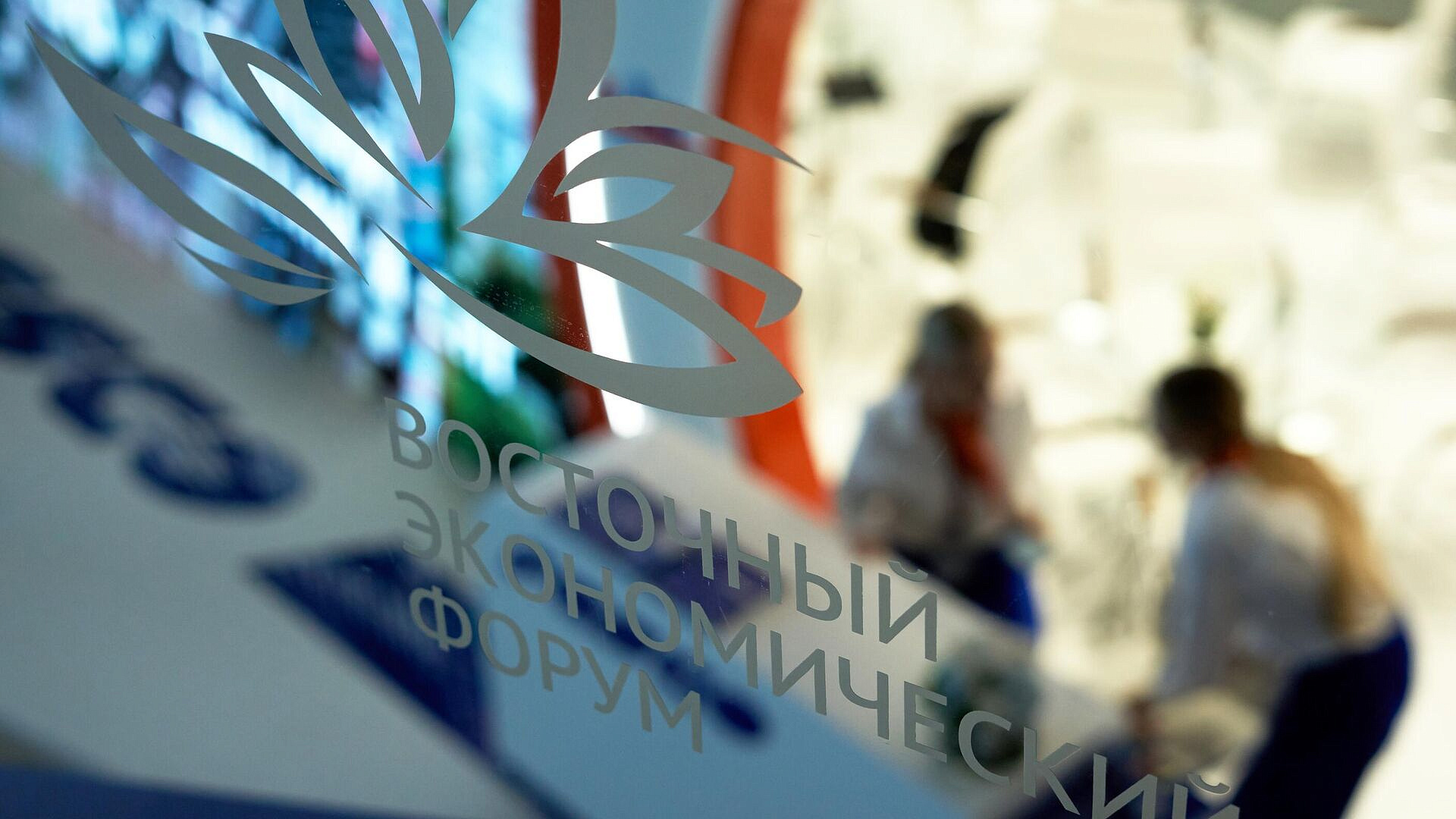 Названы самые дорогие блюда в ресторане на ВЭФ-2025