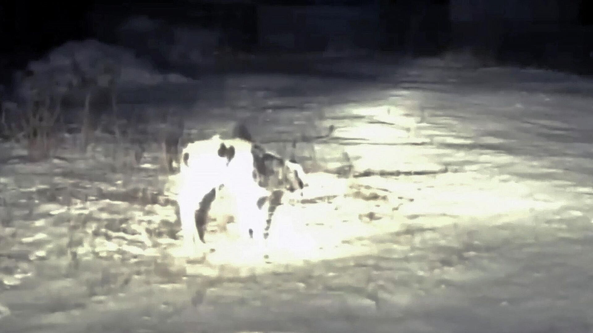 � ������ ������� ������ �������������� �������, ���������� �� �����