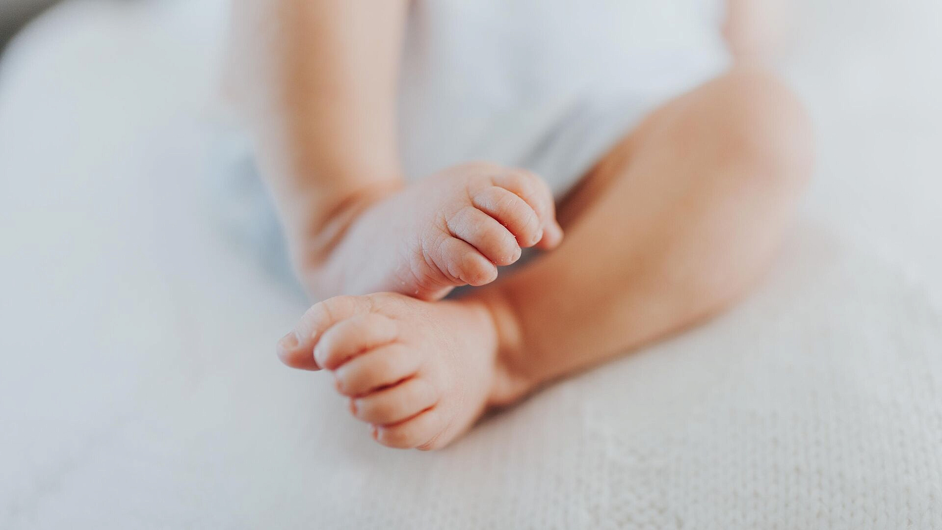 ���������� ������������ ������� ������ ������ �� ��������� �����������