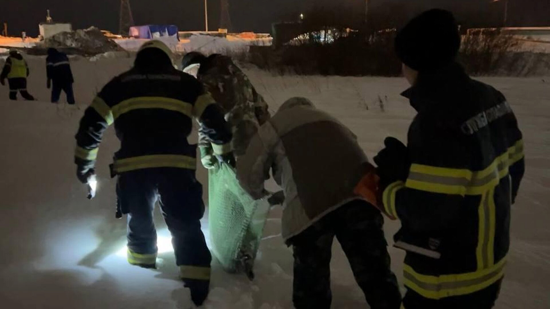 В Архангельской области спасли раненого тюленя