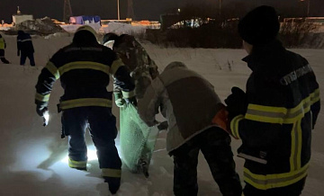 В Архангельской области спасли раненого тюленя