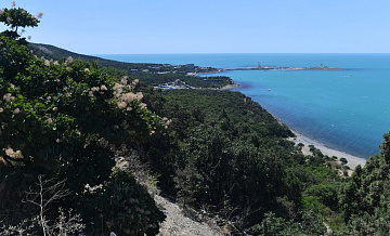 В Госдуме попросили дать волонтерам доступ в заповедник "Утриш"