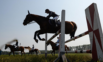 В Дубае кубок по скачкам прошел почти при полных трибунах