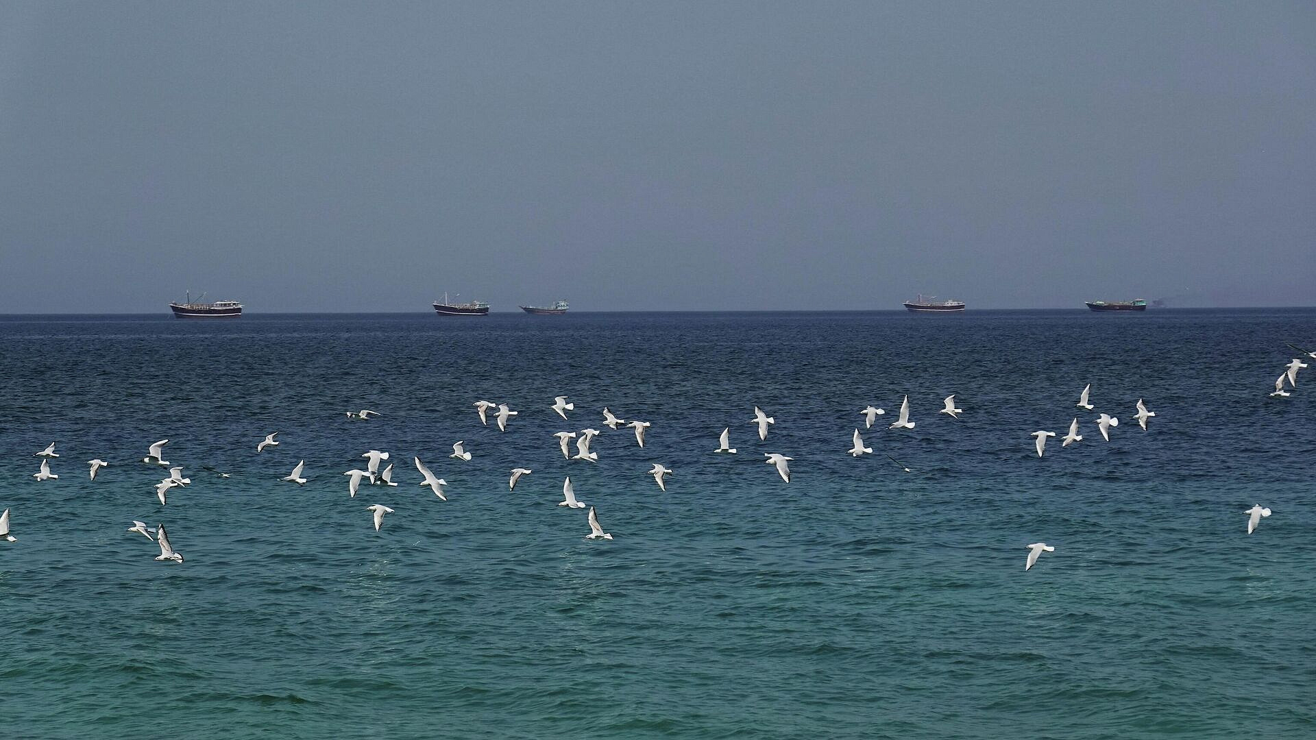 США требуют участия других стран в защите Ормузского пролива, заявил Уолтц