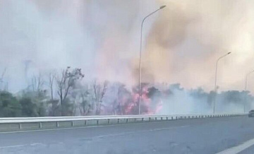 В Волгодонске произошел ландшафтный пожар