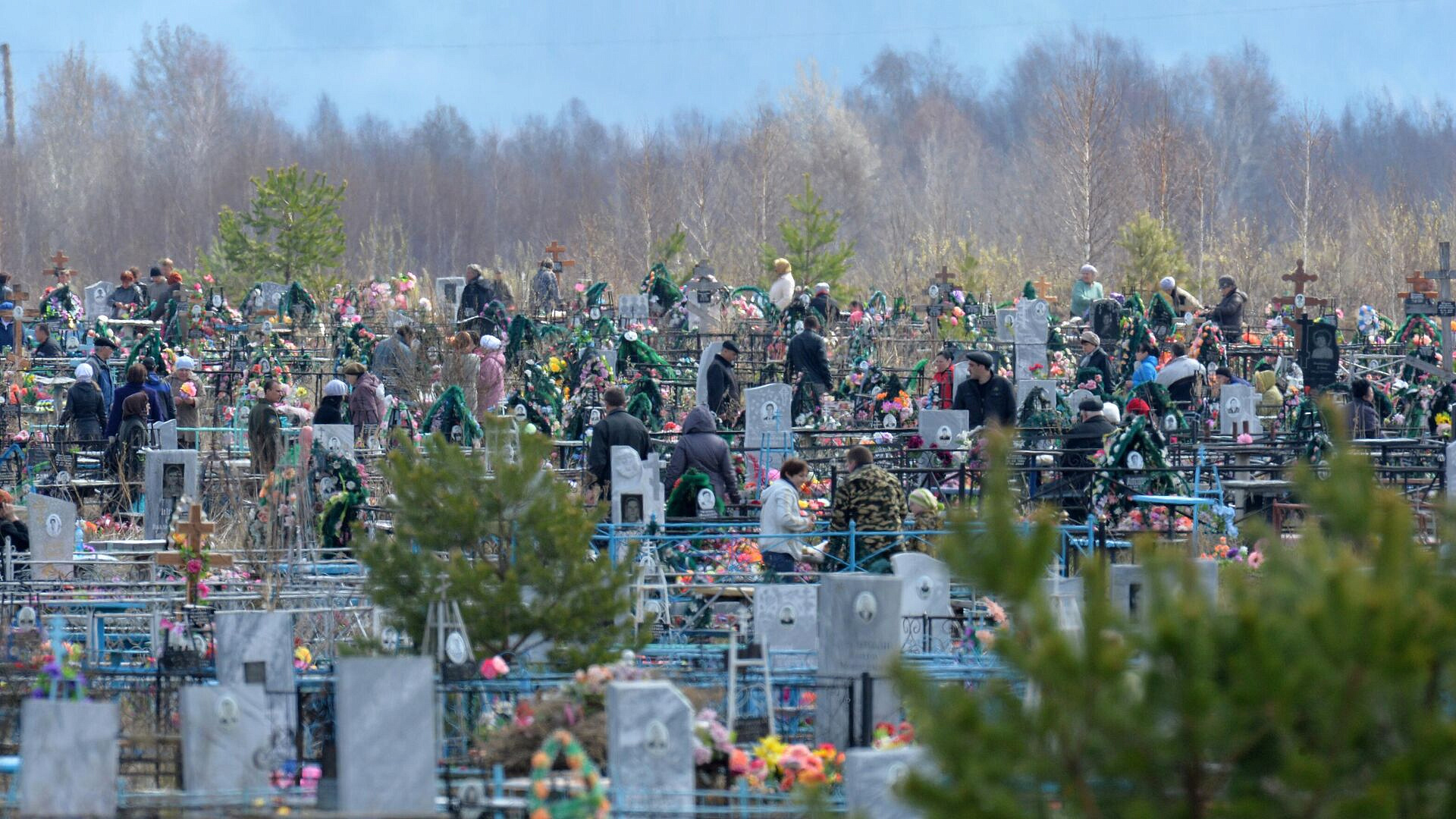 ��������� ��������, ������ �� ����� ������ �� �������� ����� ������