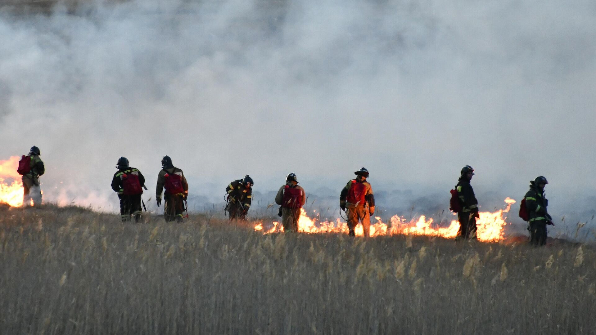 � ���������� ����� ��������� ����� ��� � ����������� ���������