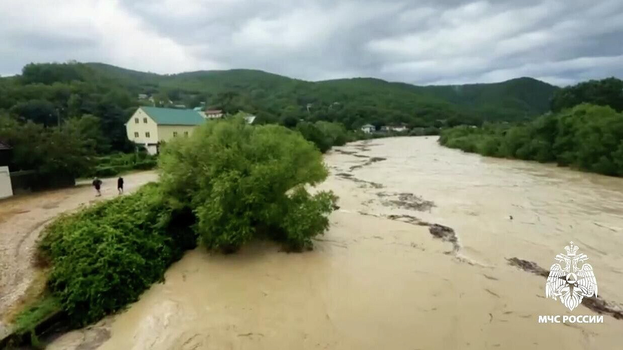 � ����������� ������ ������ ����������� ����������� �����������