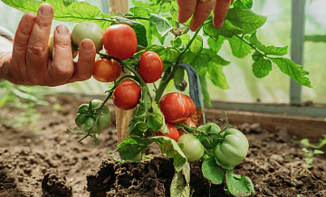 �� ����� ����������� ����������� ������� ���������� ��� ������� ���������