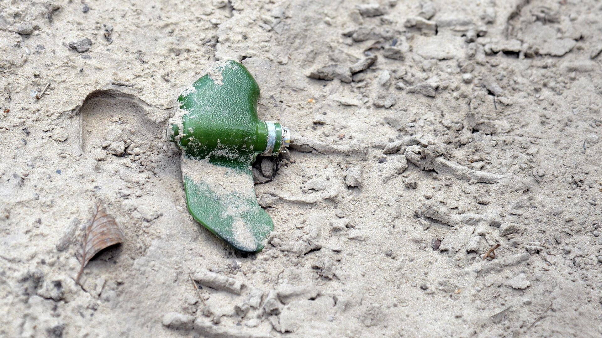 ��� ���������� ������������ ����������� ���� "��������", ������ ��������