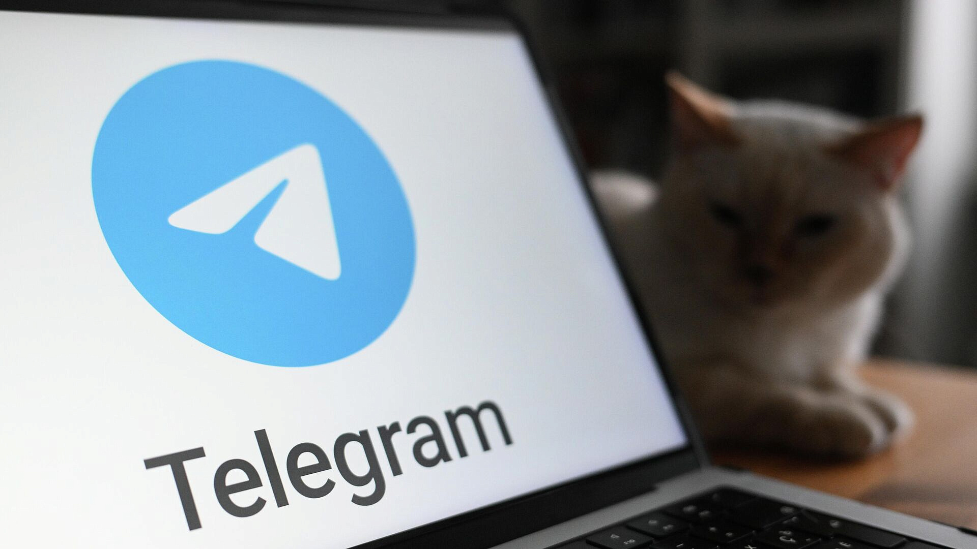 Мошенники придумали новую схему кражи аккаунтов в Telegram