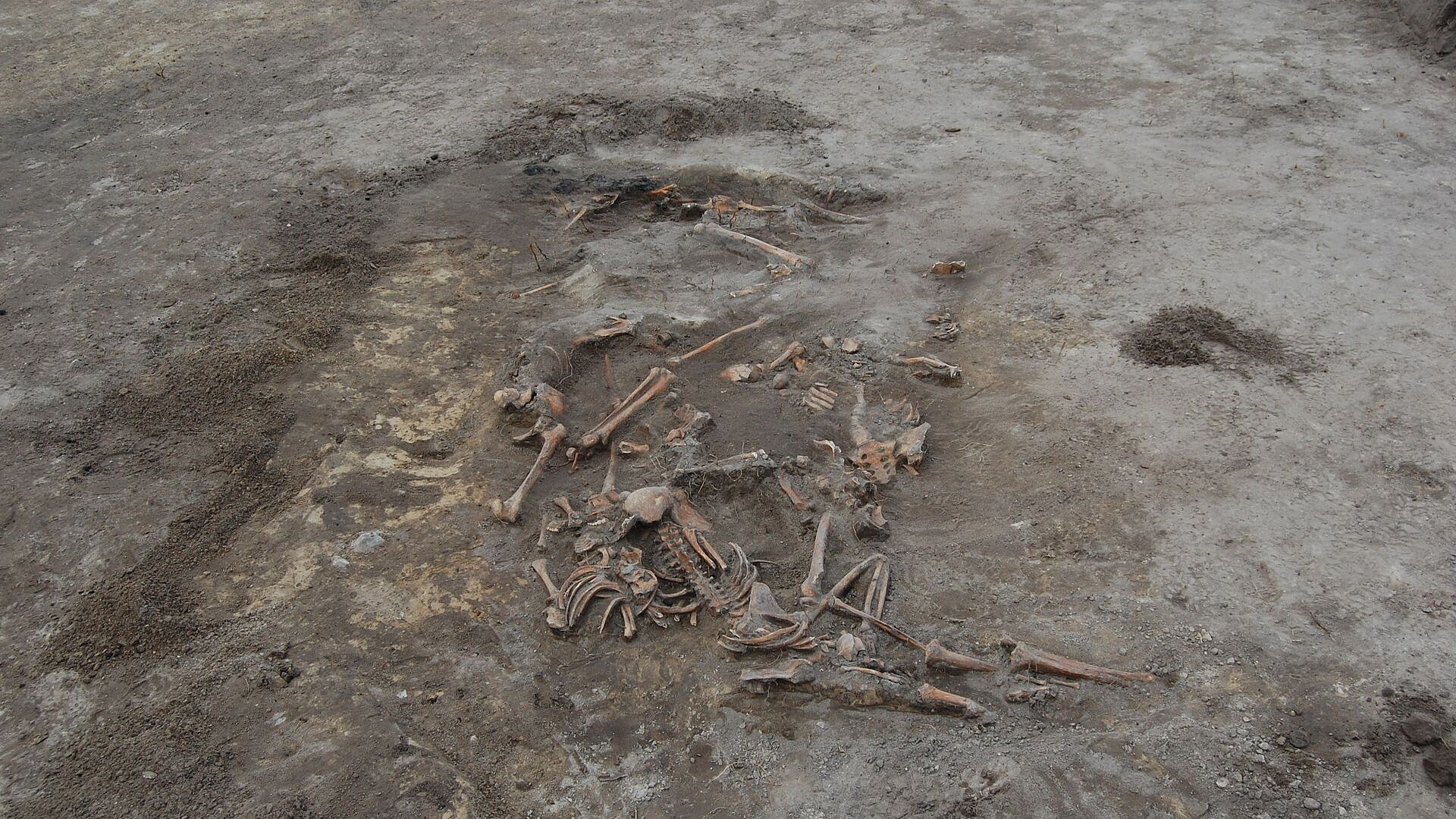 ���������� ����� ��������� ����� ������ � ����� ������