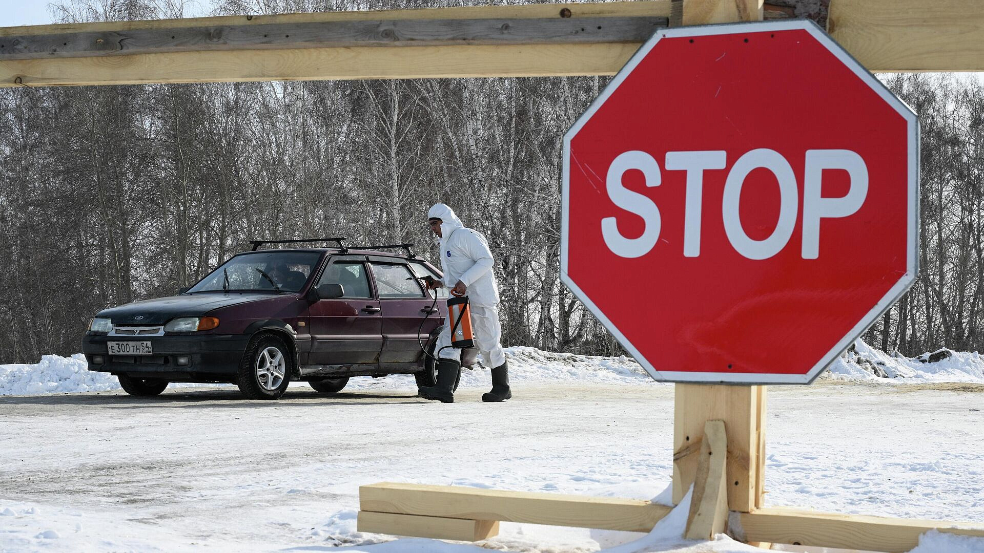 В Новосибирской области готовят меры поддержки животноводческих хозяйств