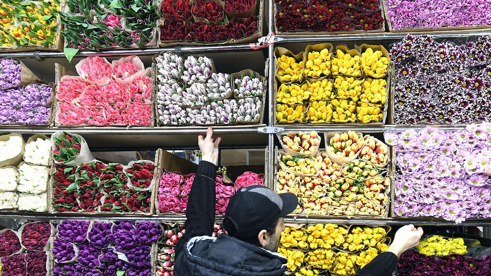 ����� ����� ������ ���������� ������ ������, ������ ��������