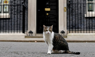 ��� ����� �� ����� ������ � ��������� � ���������� �� �������-�����