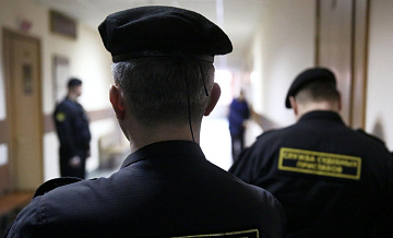 У жительницы Томска за долги арестовали 87 кошек